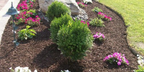 Landscaping Company, Landscaping Service, Plant Installation, Flower Beds, Rock Installation, Mulch Installation, Free Estimate